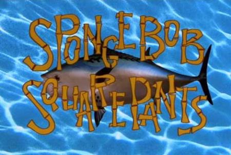 SPONGE BOB SQUARE PANTS